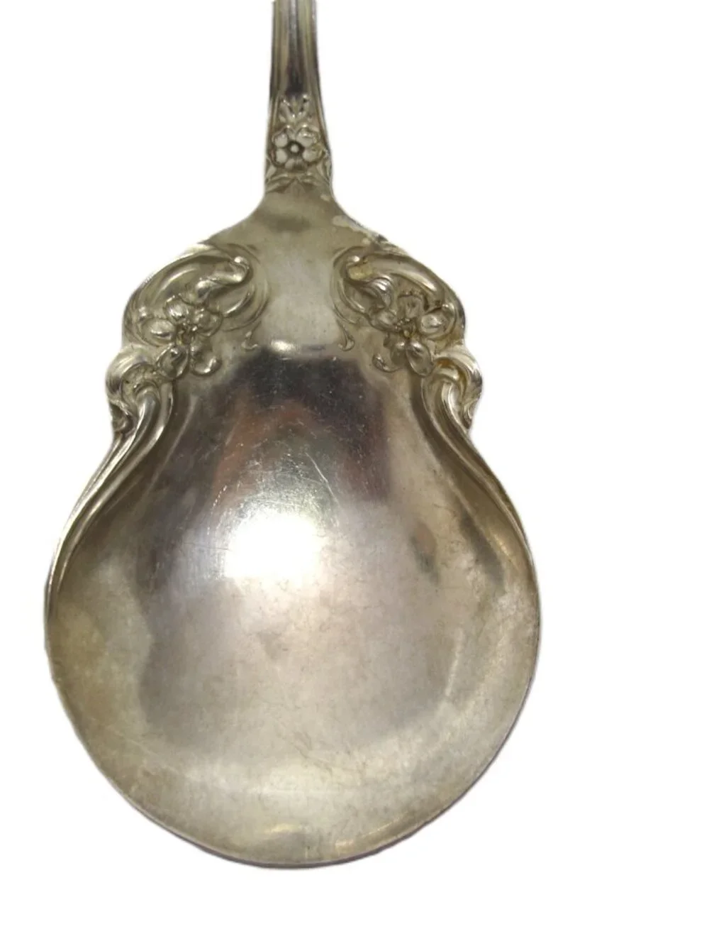 ARBUTUS International Wm Rogers & Son Silverplate 8.7